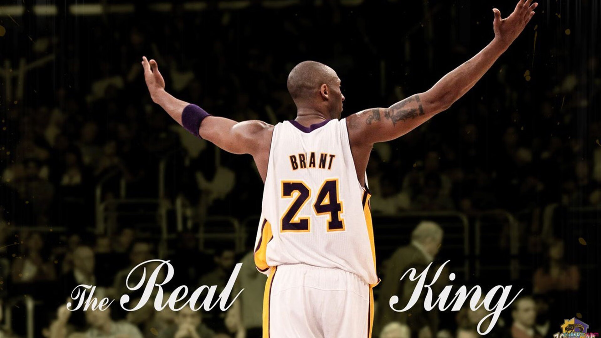 英超争冠之夜，范弗利特带队取胜，书写传奇新章