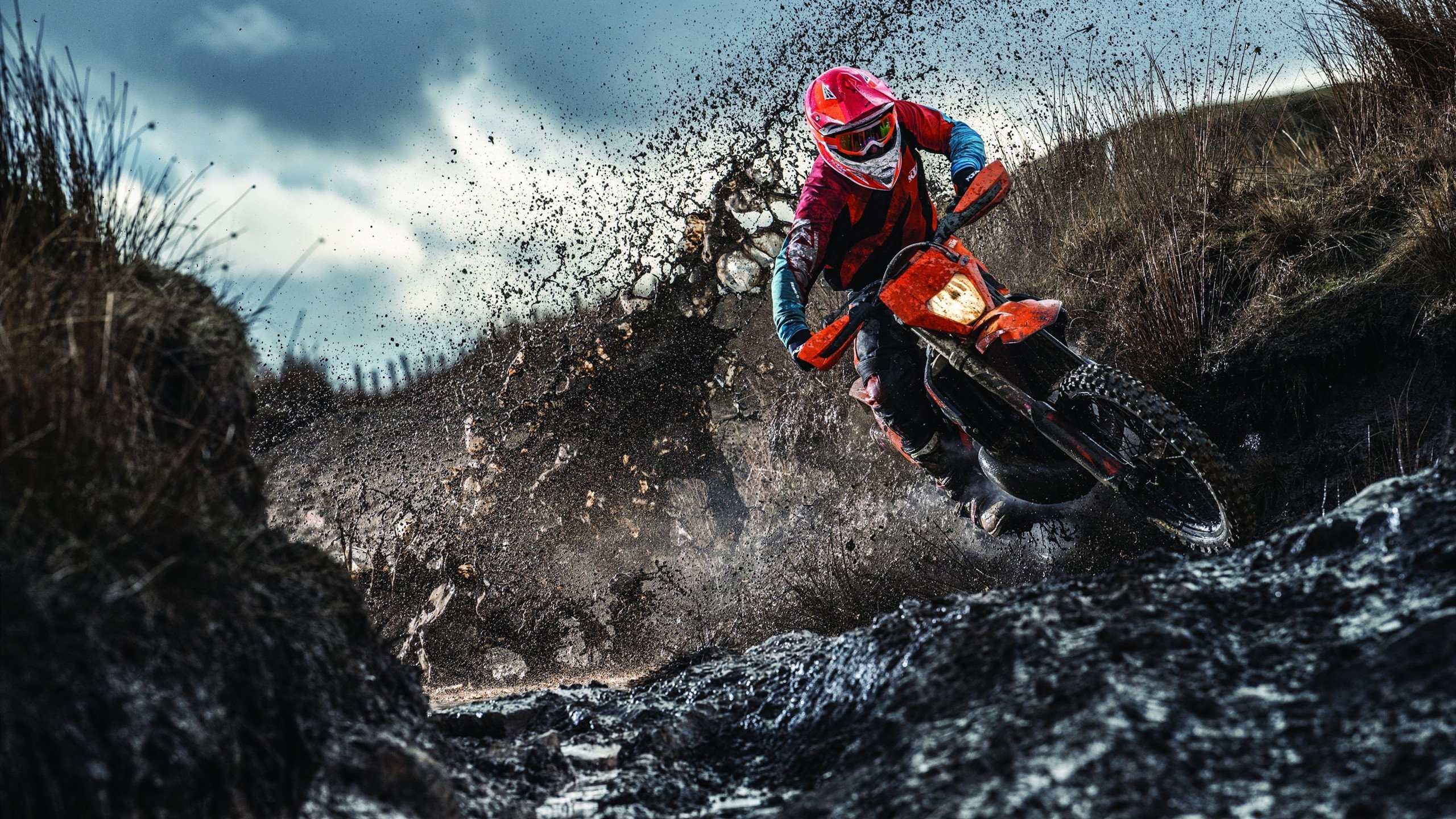 舞台越大越强，武切维奇如何助辽宁队收割猛龙